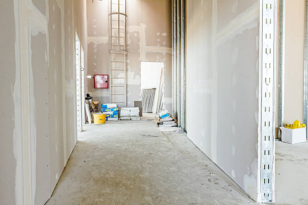 Best Fire-Damaged Drywall Repair  in Bardmoor, FL